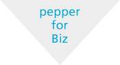 PepperforBiz