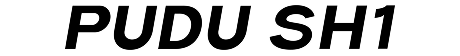 PUDU SH1