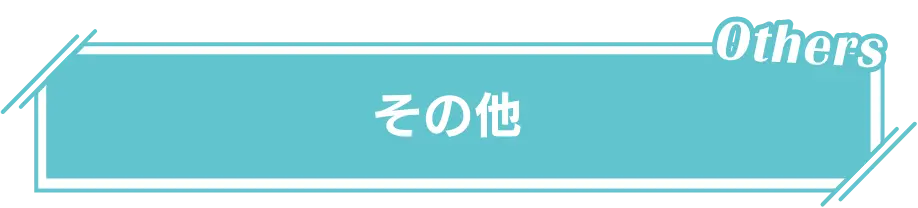 その他