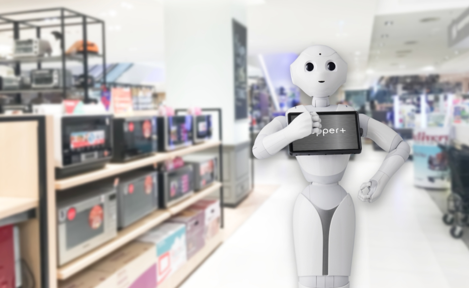 量販店内の販売コーナー