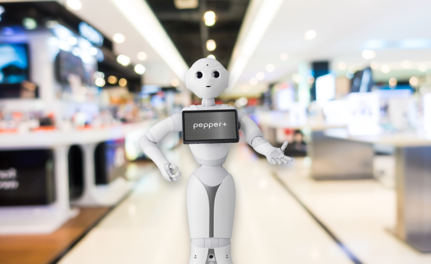 商品/サービス体験コーナー