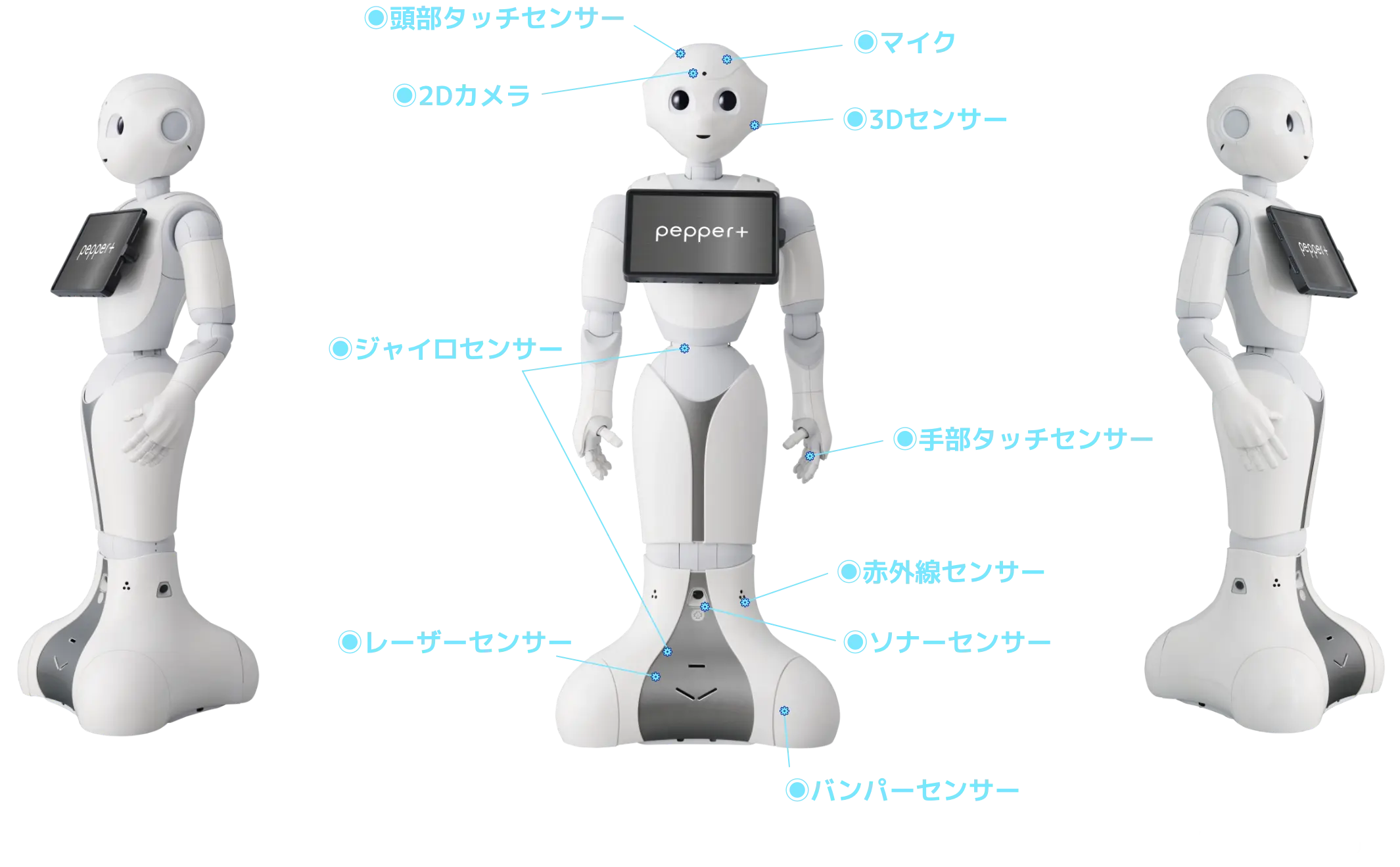 自然な動きを支える設計