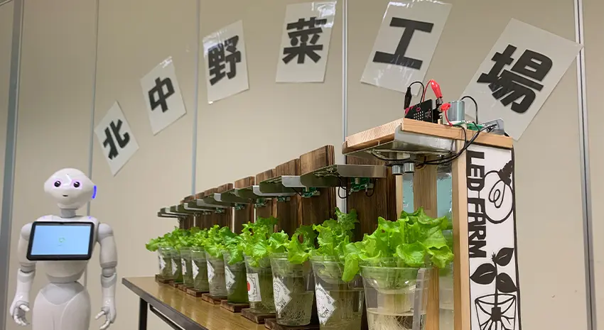 [STREAMチャレンジ2021「食糧問題を解決するPepper」の実証試験の様子] 