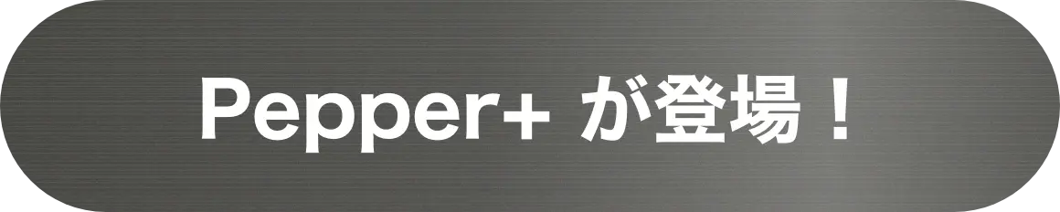 Pepper+ が登場！
